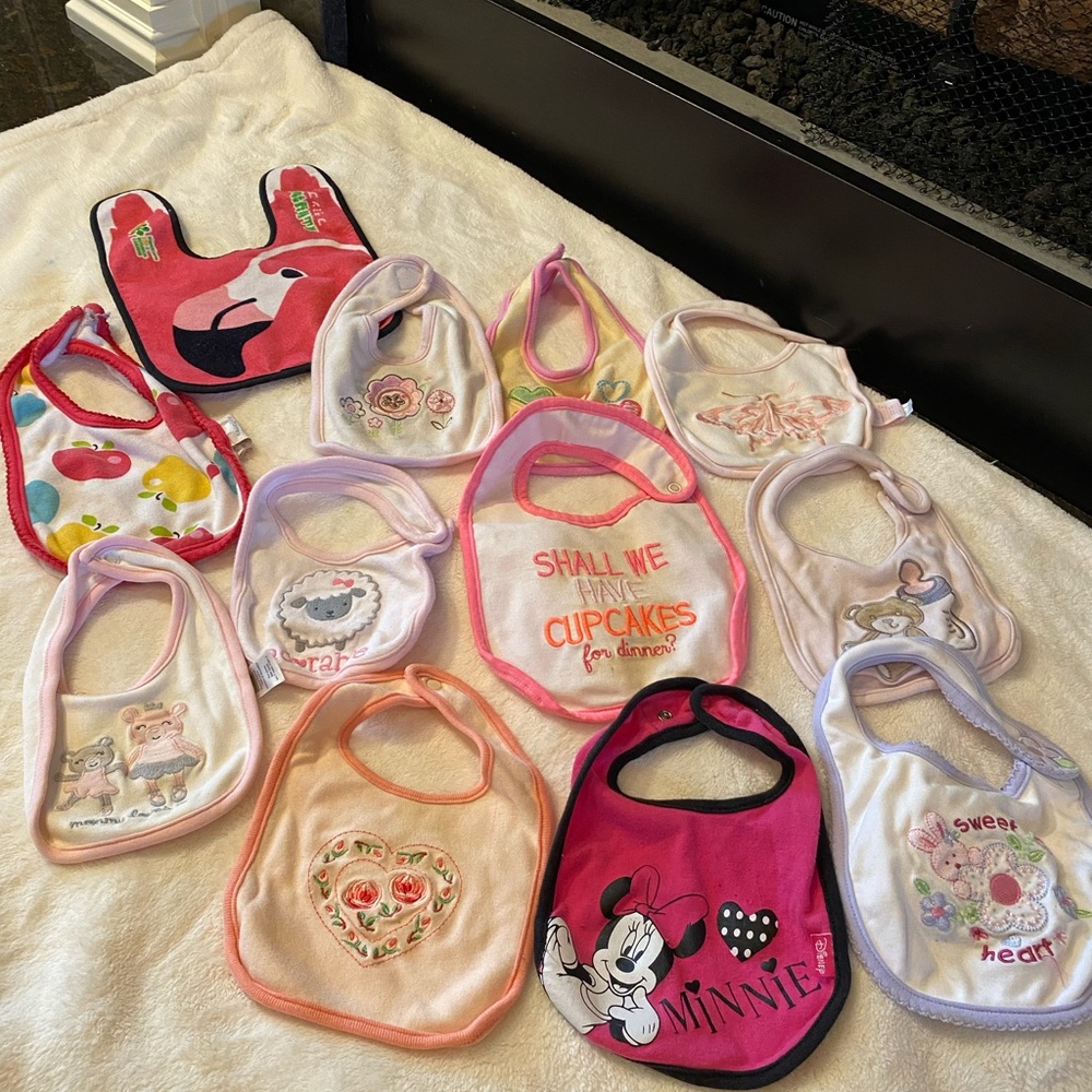 12 Pieces Baby Bibs Bundle